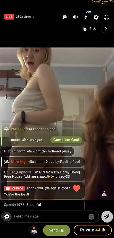Vralice 9