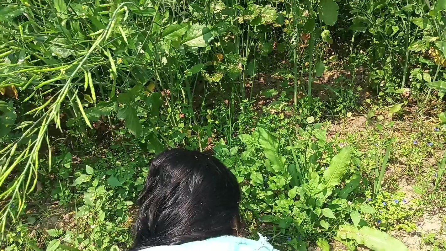 Blowjob and Anal Video Outdoor Anal Sex Video Hindi Audio