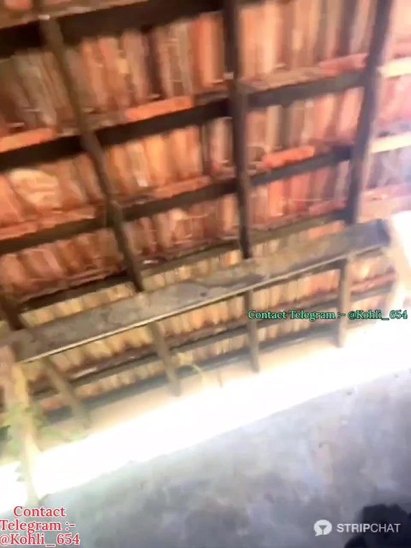 _cute_ariana_ Ticket show face show outdoor hardcore fucking