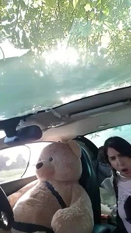 JuliagrosROBERTS 10 closeup hairy pussy show in car