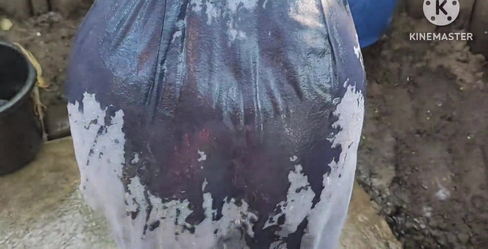 Indian hot boobs and topless bathing.