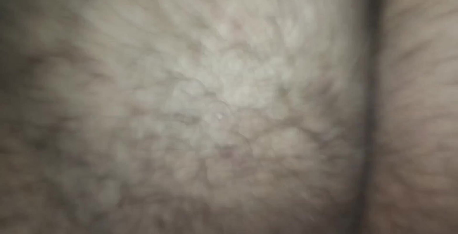 Indian Housewife Fucking Videos.