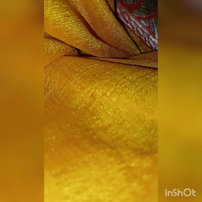Indian lesbian bhabhi safely show her pussy satisfied.