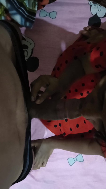 Muslim girls taking Hindu Lund in her pussy.