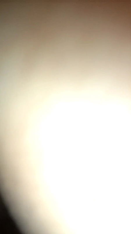 Sala Behanchod Apni Behan Ko Hi Nashe Mein Chod Diya.