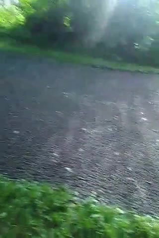 Sexy desi babe sucking huge cock in park while friend records