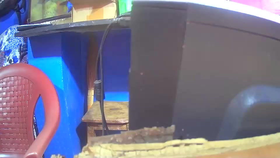 Random Cam collection jan23 – 299