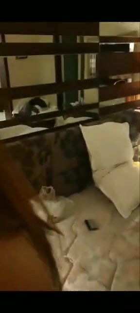 In hotel,exposed clear talking