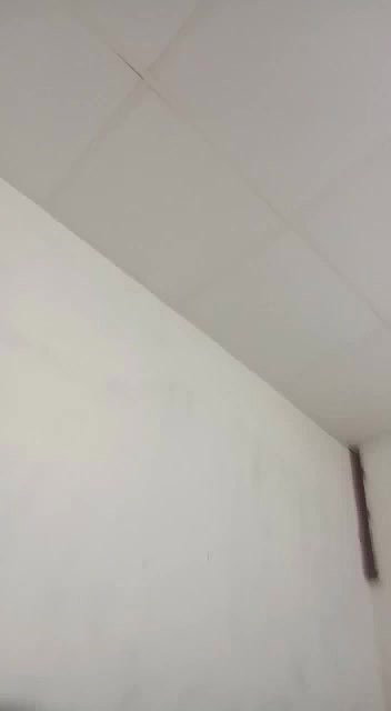 Rajasthani Bhabhi Fucked