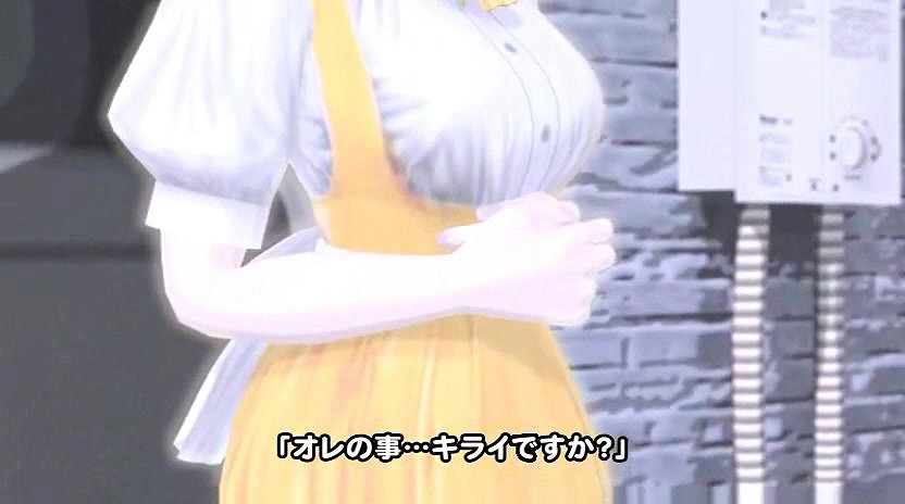 3D 8783 A Waitress of the Family Restaurant in the Backstreet