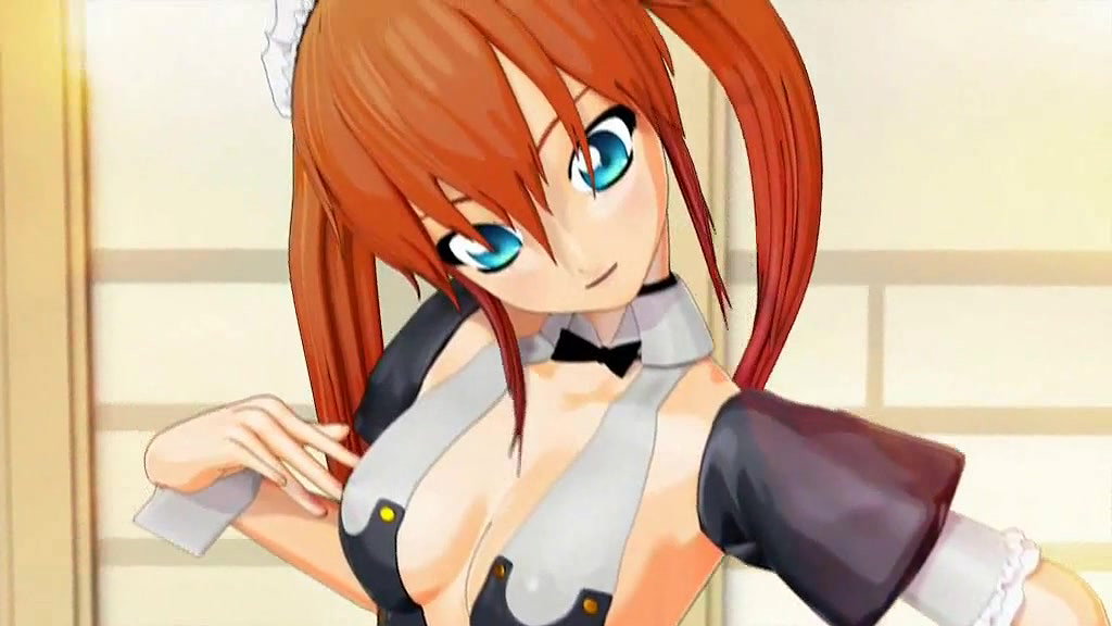 3D 8733 Meido-San. vol.1