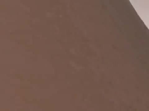 3D 8797 Umemaro 3D Sasa