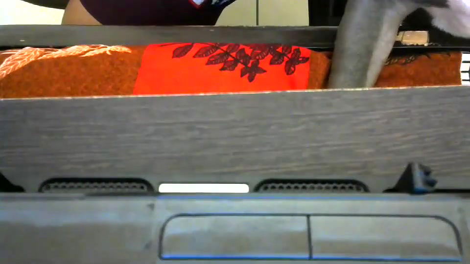 Random Cam collection jan23 – 3572