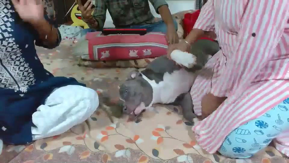 Random Cam collection jan23 – 3717