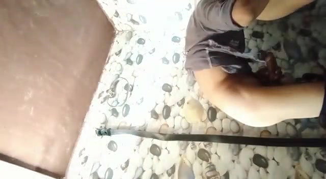 Cute girl painful fucking