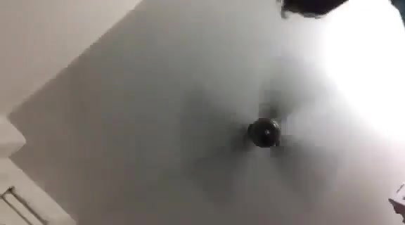 Desi Sexy Girl Bj