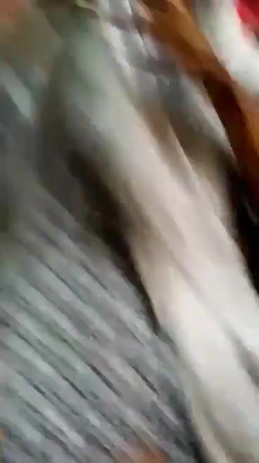 Desi Girl Hard Fucked By Lover