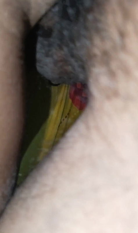 Big Cock Masseur And Hot Sultry Colombian Chick Andreina DeLuxe