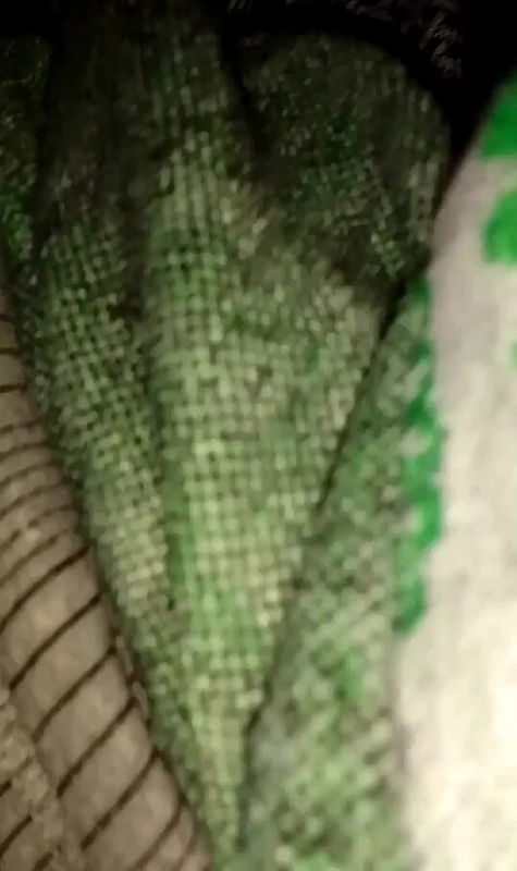 cummed chut mast boobs 121