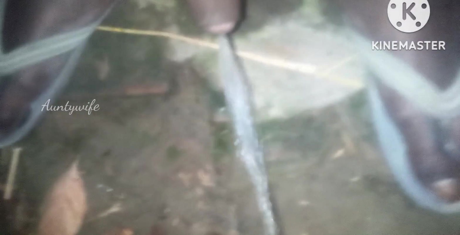 Desi aunty ki deep chut Rohit Nuniya Anita pal