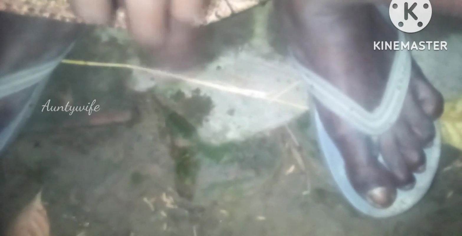 Desi aunty ki deep chut Rohit Nuniya Anita pal