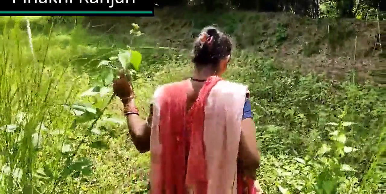 Desi village bhabhi ki jangal me chudai
