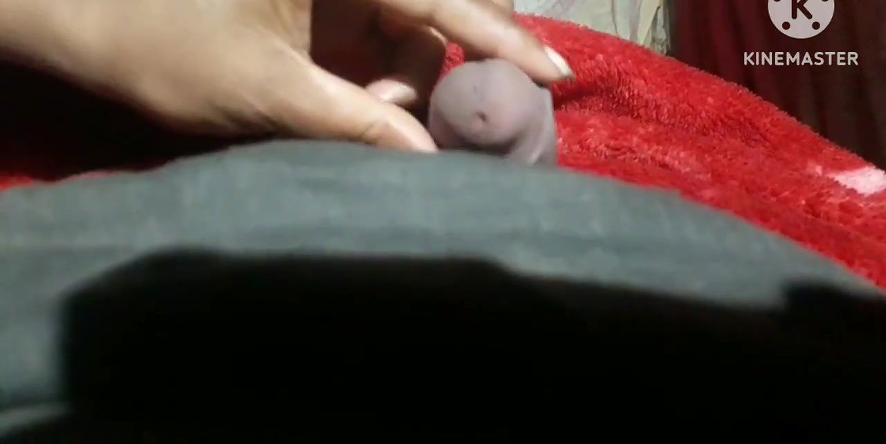 Desi Village Girl Sonali Bhai Ki Sat Sex