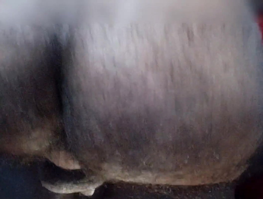 Dost ki bibi ki gaand mari 1000 rupay daker