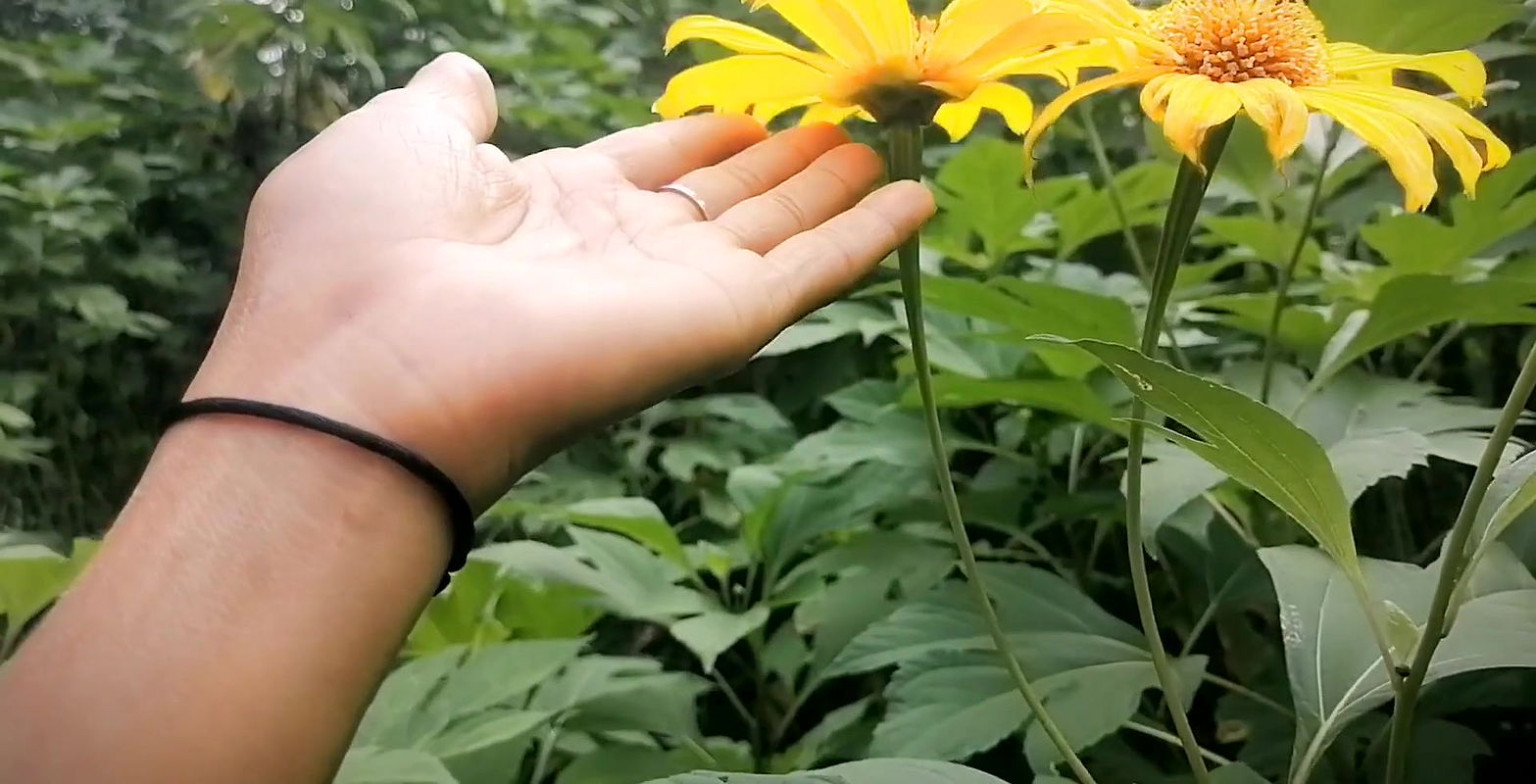 Girl friend with fun