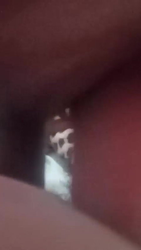 Dasi Setup with Stepbrother Dasi Stepsister Very Hard Fucking so Cool