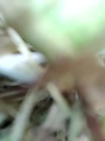 Bella-Naughty 9 hot pussy cum1