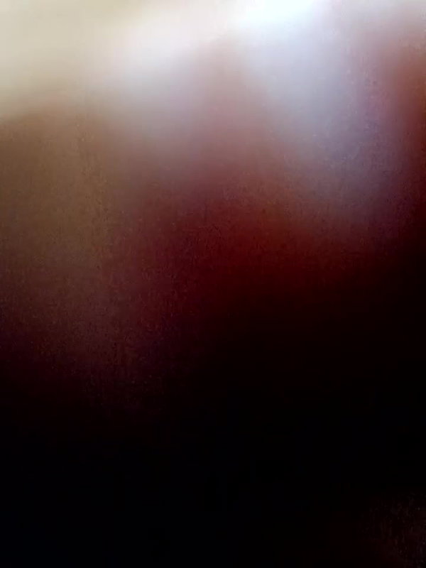 Sharmili 20 beautiful hairy pussy show