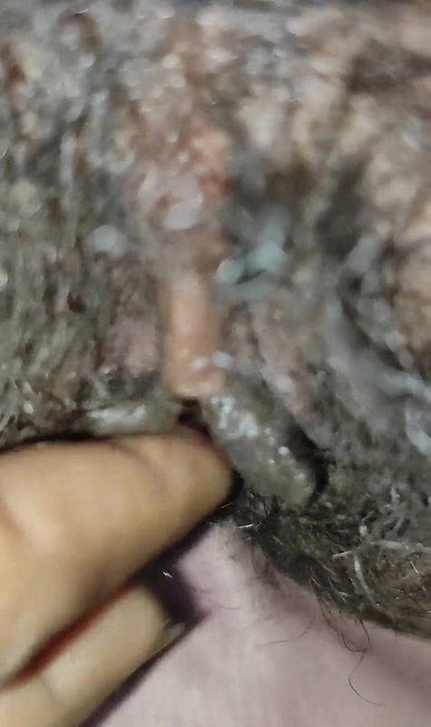 Indian Girl desi pussy resing lickwet crimi pussy