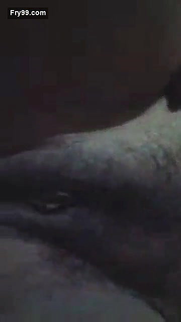 Desi Boudi Showing Her Boobs and Pussy