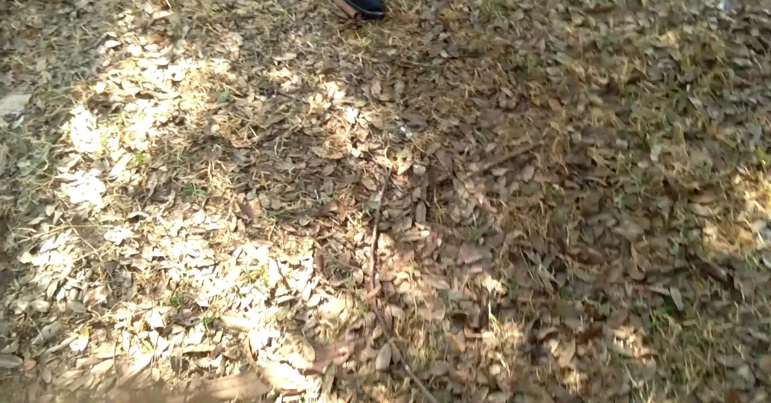 Jungle Me Mila Aunty Ko Khandhar Ghar M Chudai ki ya