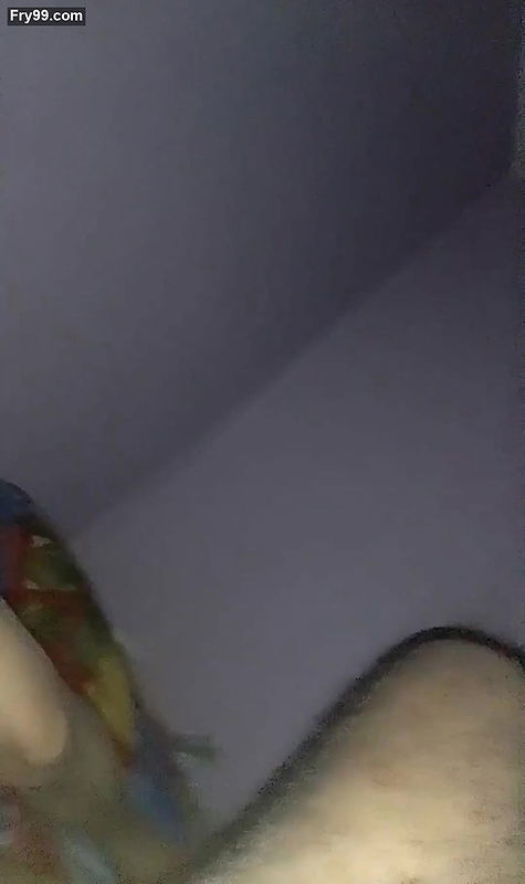 land ki pyasi mast bhabhi