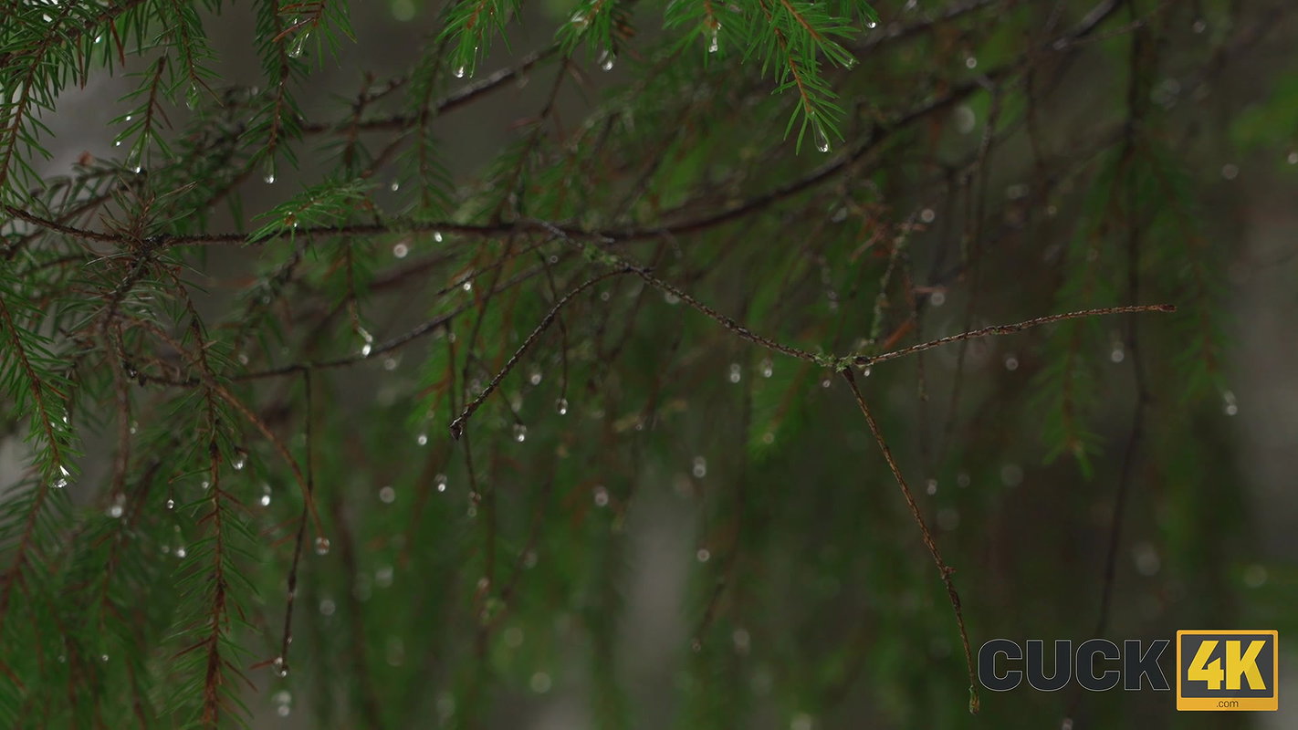 Lesly Clap – He, Br++ken