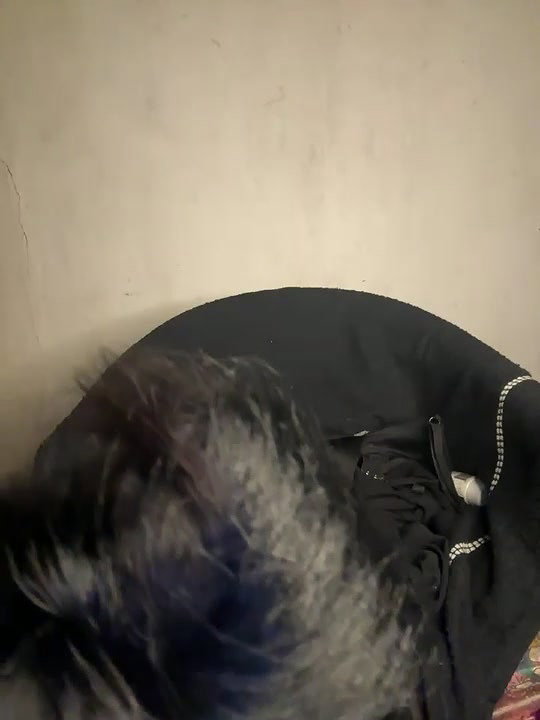 Teena_girl 1 beautiful tight boobs