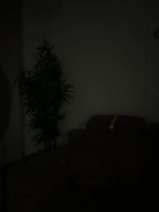 Evequinn 3 hot boobs and oil show