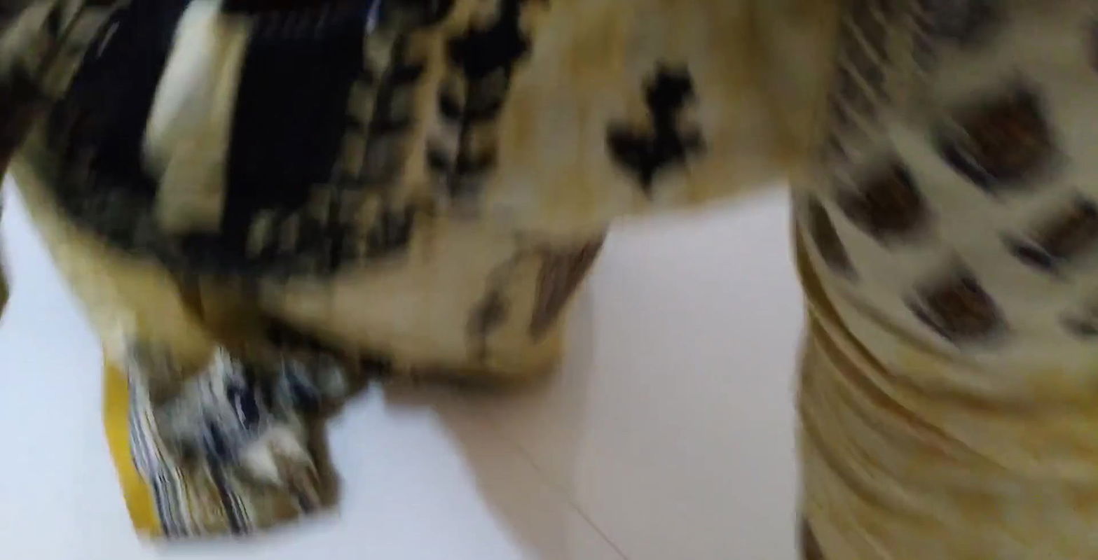 Tamil maid fucking owner while cleaning house Hindi Sex