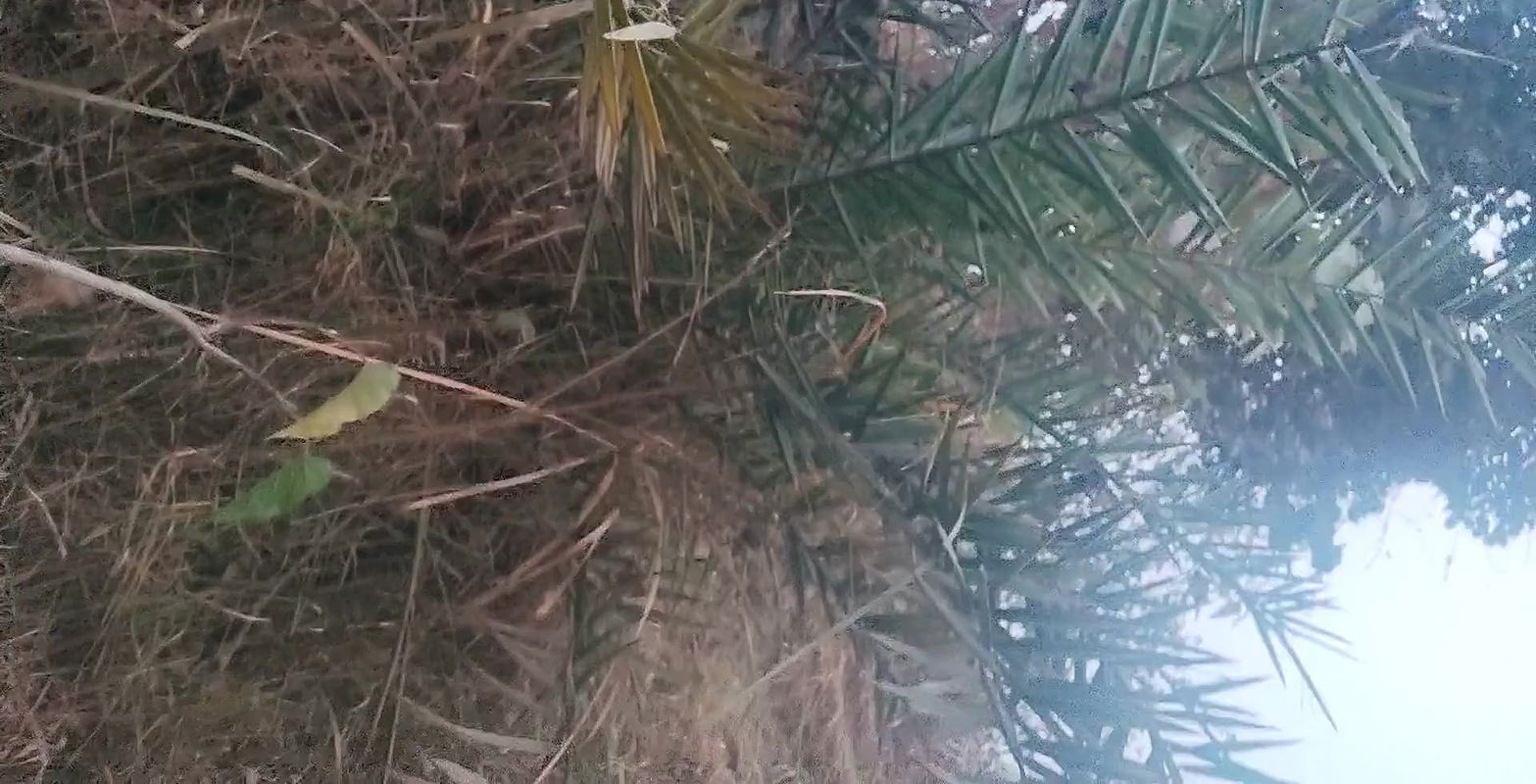 Thank him for the event in panels for your