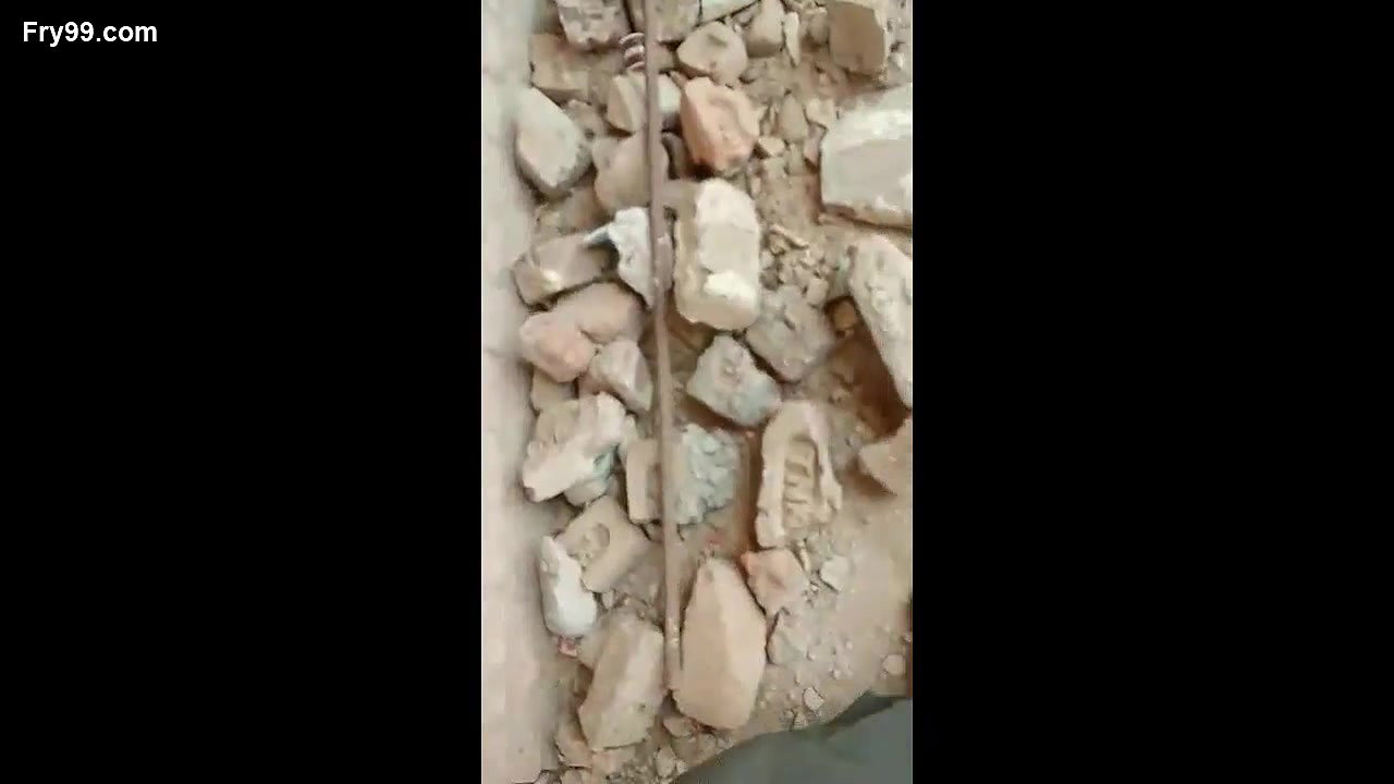 Dewar Bhabhi Caught Fucking