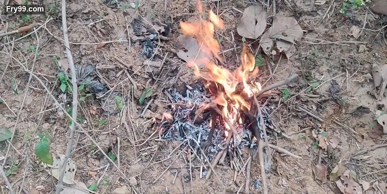 Wenger backpack you are not sexual assault