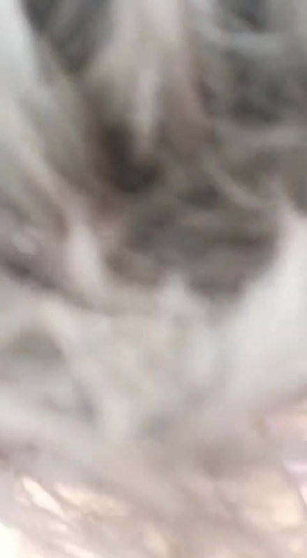 Desi lover fun outdoor