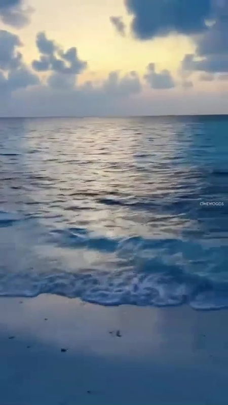 Divya Bharathi Hot In Bikini