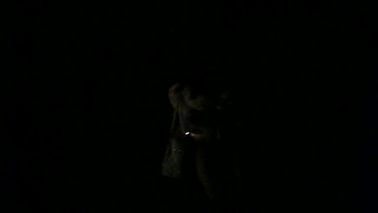 Local prostitute video – 92