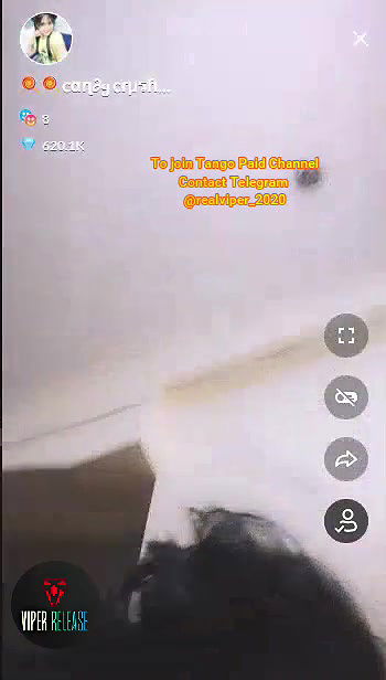 candy crush  hot tango premium show