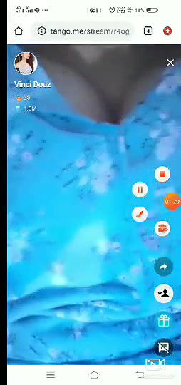 desire  hot tango premium show (2)