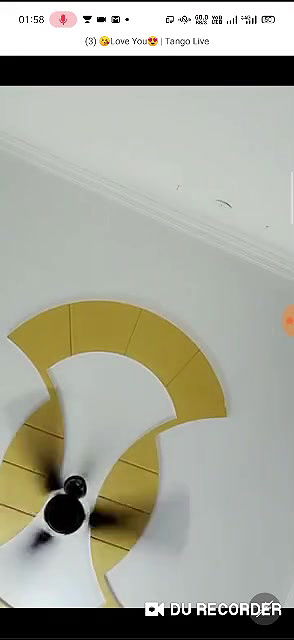 love you  hot tango premium show