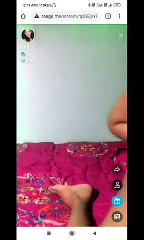 MISHA 2  hot tango premium show